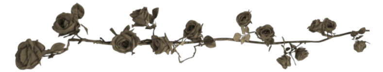 rose2.png