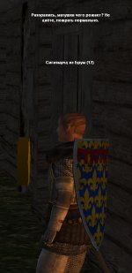 233.jpg