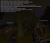 13ag.jpg