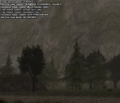 11ao.jpg