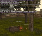 6ar.jpg